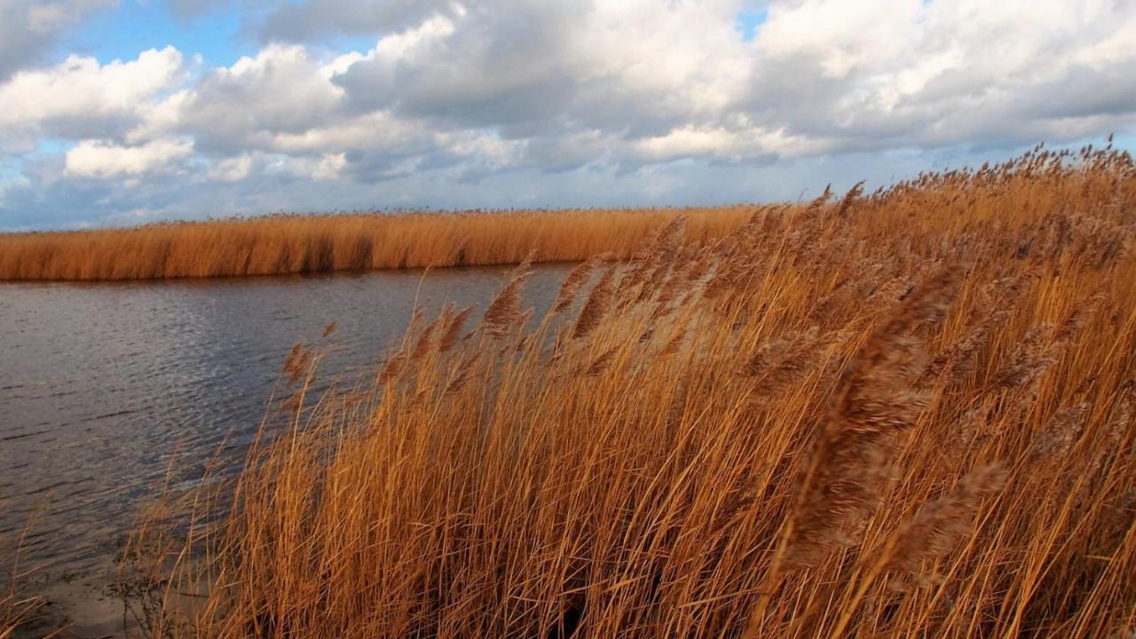 Emilias Hues, Reethaus In Der Bucht Von Wismar Циров Экстерьер фото